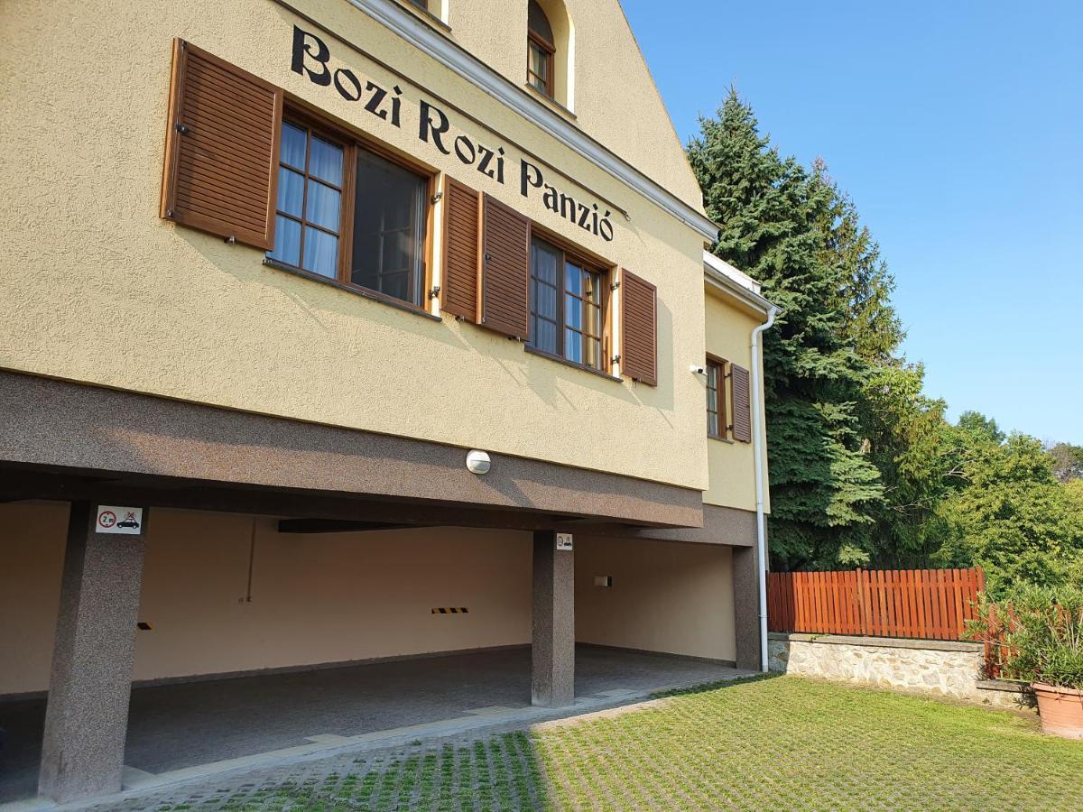 Bozi Rozi Panzio Hotel Fertőboz Buitenkant foto